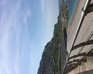 Meet your Posher, Maisy